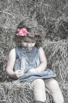 Enlarge photo 267