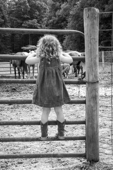 Enlarge photo 253