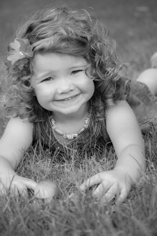 Enlarge photo 223