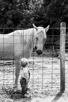 Enlarge photo 190