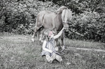 Enlarge photo 71