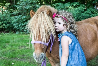 Enlarge photo 63