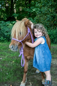 Enlarge photo 61
