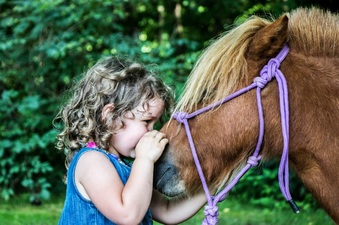 Enlarge photo 60