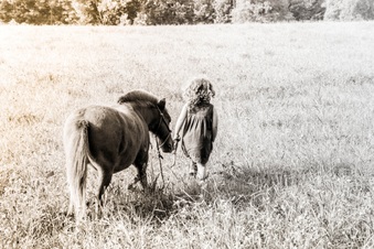 Enlarge photo 41