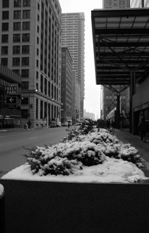 Enlarge photo 81