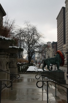 Enlarge photo 47