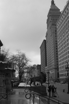 Enlarge photo 46