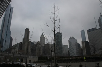 Chicago Trip