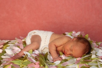 Enlarge photo 50