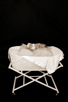 Enlarge photo 125