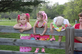 Enlarge photo 45