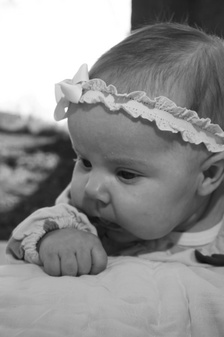 Enlarge photo 102