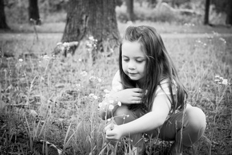 Enlarge photo 85