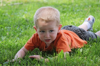 Enlarge photo 14