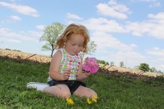 Enlarge photo 50