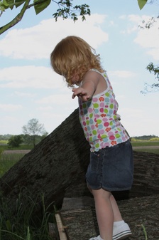 Enlarge photo 94