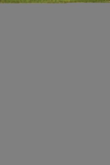 Enlarge photo 255