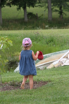 Enlarge photo 257