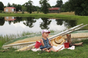 Enlarge photo 262