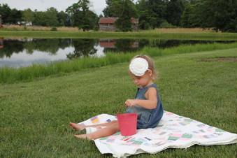Enlarge photo 355