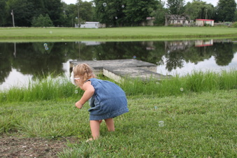Enlarge photo 359