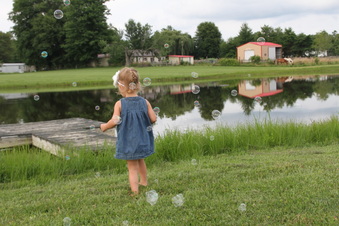 Enlarge photo 363