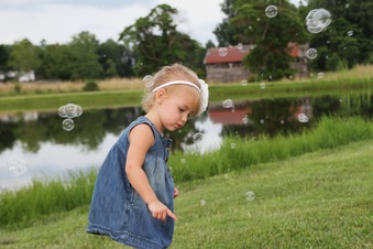 Enlarge photo 368