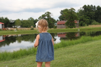 Enlarge photo 369