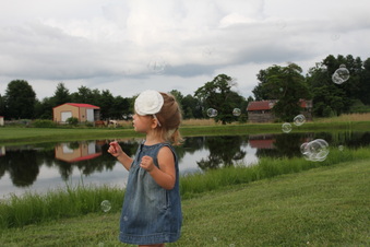 Enlarge photo 370
