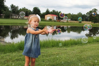 Enlarge photo 373
