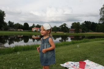 Enlarge photo 376