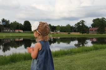 Enlarge photo 377