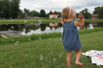Enlarge photo 387