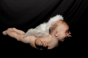 Enlarge photo 79