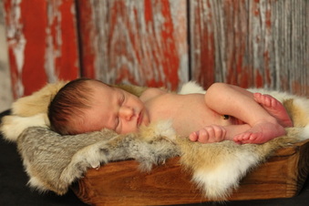 Enlarge photo 55