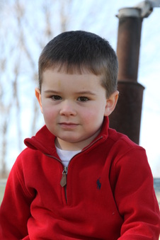 Enlarge photo 183