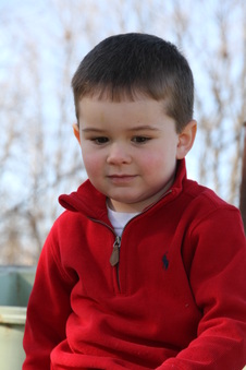 Enlarge photo 184