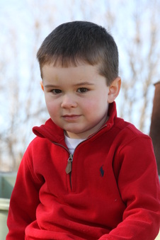 Enlarge photo 185