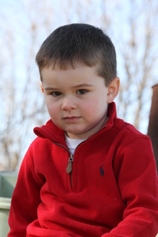 Enlarge photo 186