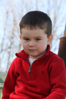 Enlarge photo 188