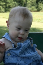 Enlarge photo 41