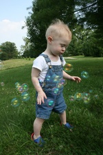 Enlarge photo 12