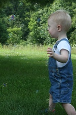 Enlarge photo 5