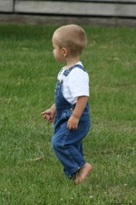 Enlarge photo 124