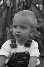 Enlarge photo 117