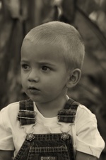Enlarge photo 115