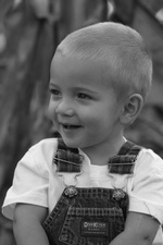 Enlarge photo 113