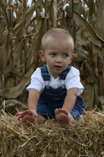 Enlarge photo 109