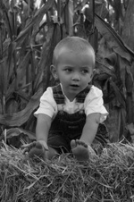 Enlarge photo 108